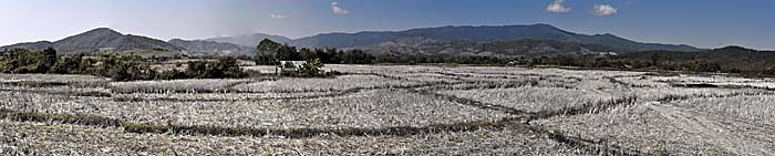 Lanna, Land of a Million Rice Fields by Asienreisender
